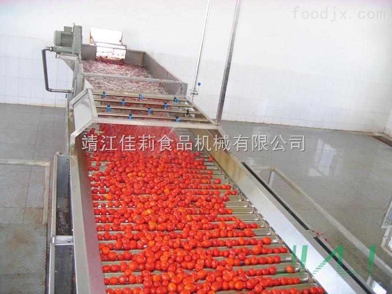 西红柿加工设备