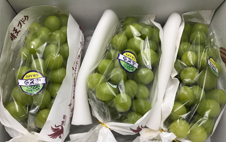 冷庫：夏季食品行業(yè)重要守護者