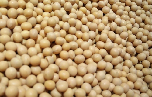 浙江省農(nóng)業(yè)農(nóng)村廳等7部門關于促進糧油產(chǎn)業(yè)穩(wěn)定發(fā)展的意見