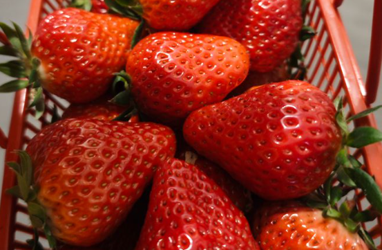 食品機械：驅動草莓產業升級的“硬核”引擎