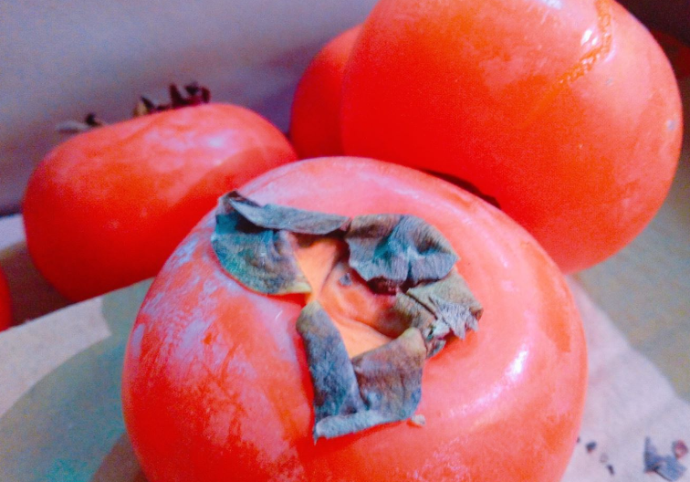 內(nèi)蒙古自治區(qū)瓜果蔬菜協(xié)會關(guān)于《五原黃柿子果實質(zhì)量標準》等4項團體標準立項的通知