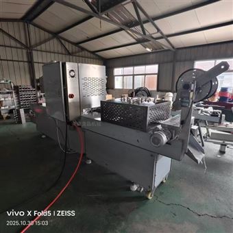 紅薯干連續包裝機 無骨雞爪真空包裝設備