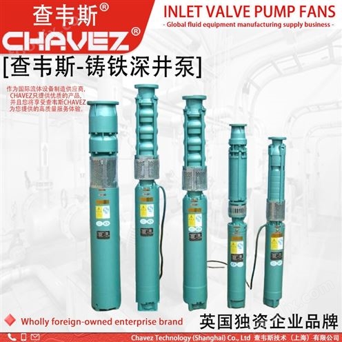 查韦斯 进口 深井泵 不锈钢 长轴泵 潜水泵