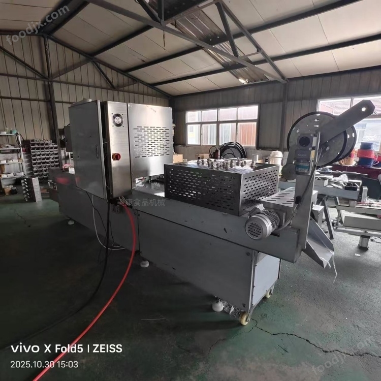 Continuous packaging machine for sweet potato jerky, boneless chicken feet vacuum packaging equipment