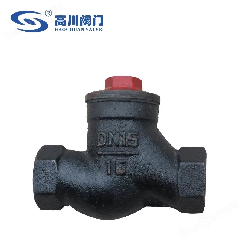 H11T/W 鑄鐵內螺紋升降式止回閥