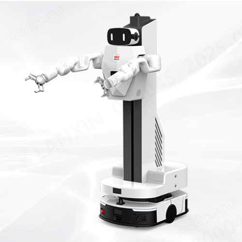 Embodied intelligent humanoid robot