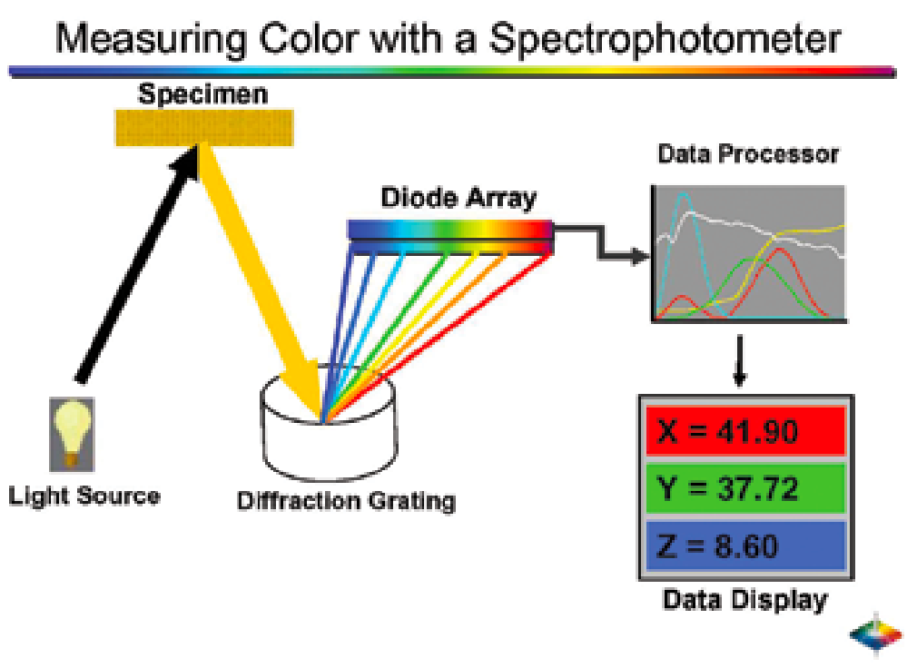 肉類顏色測量指南顏色和光線的物理